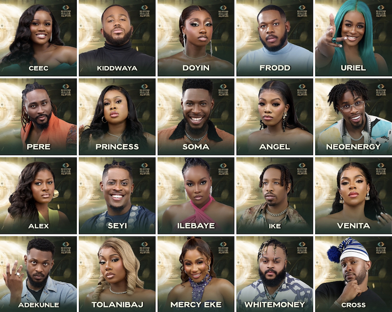 Big Brother Naija Season 8 Returns With An All-Star Edition! Meet The Housemates!