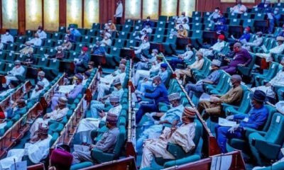 Nigeria’s House of Representatives Reviews 31 Proposals for New States